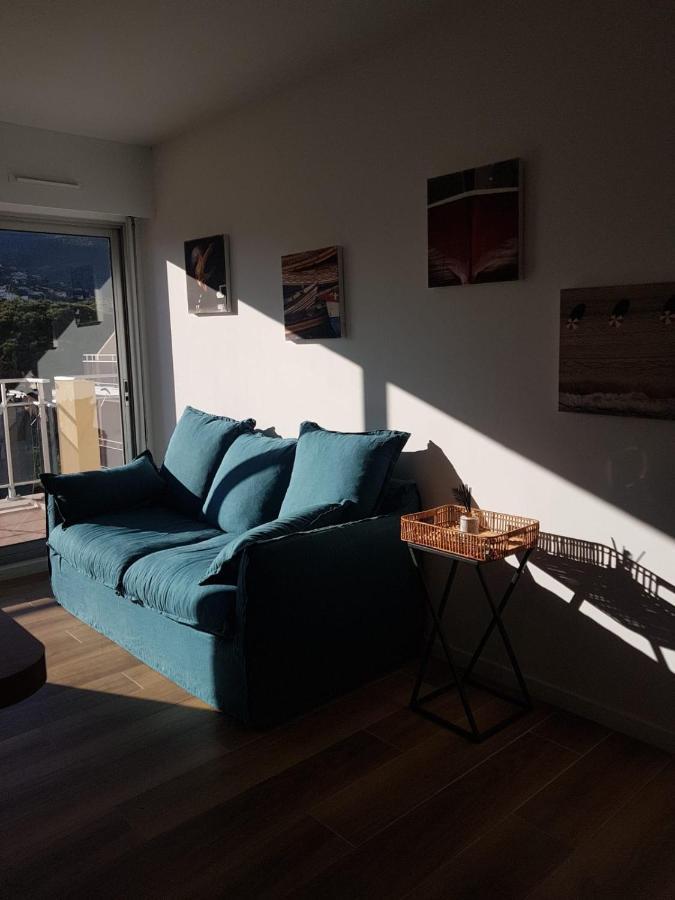 Appartement Deux Pieces , Climatise, Terrase, Cavalaire Zewnętrze zdjęcie